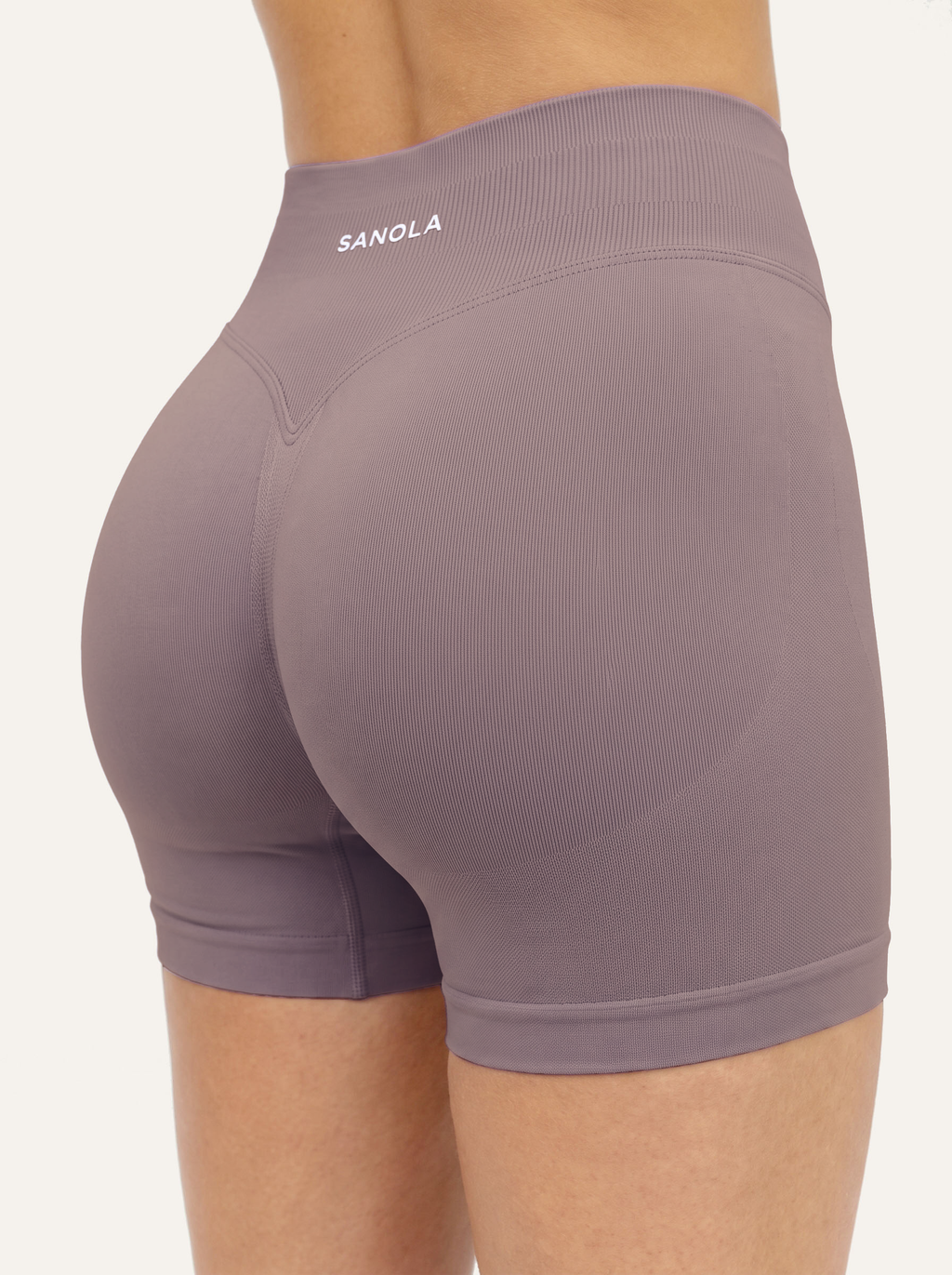 Reform Mid-Rise Shorts | Dusty Mauve
