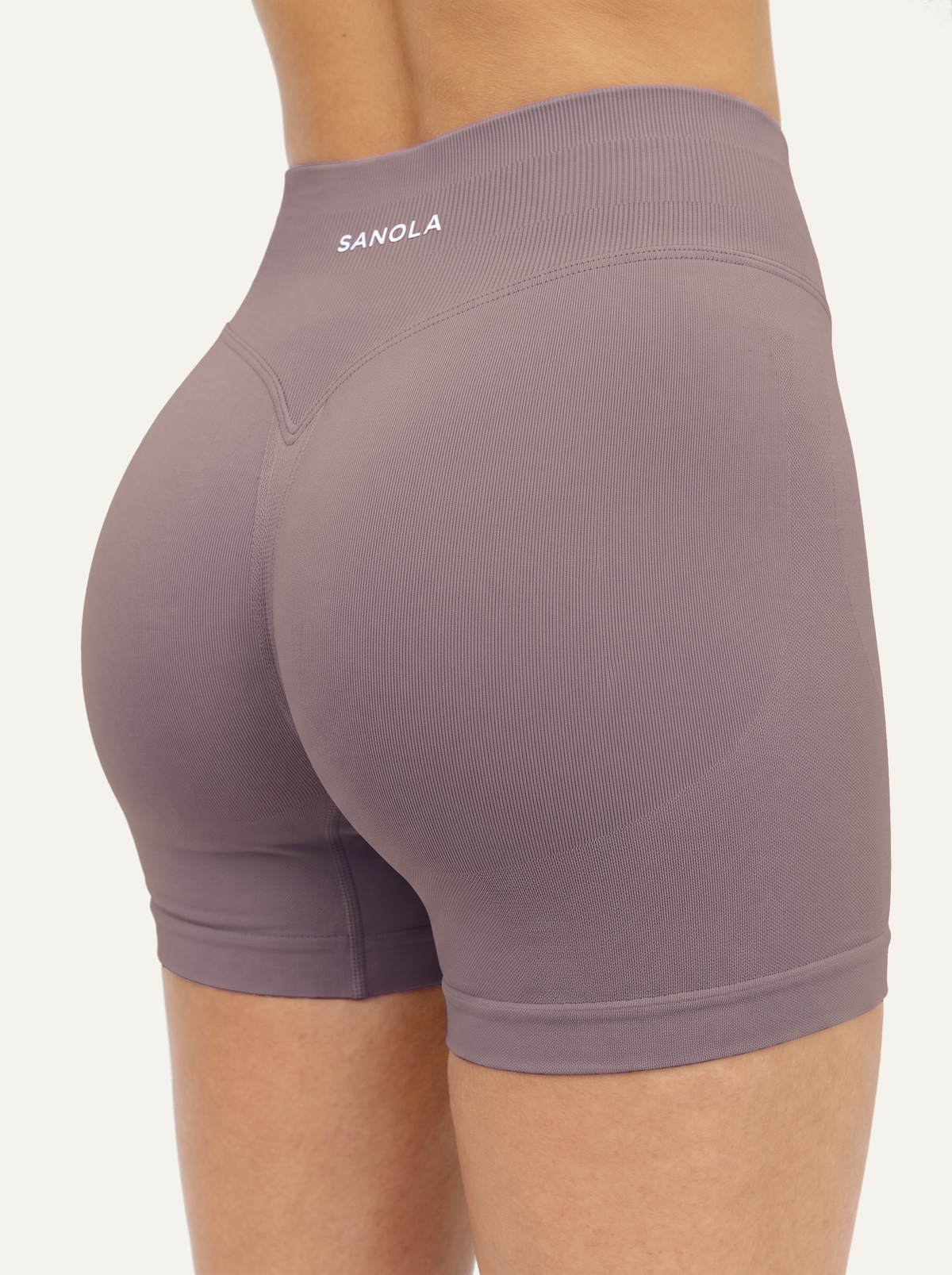 Reform Mid-Rise Shorts | Dusty Mauve