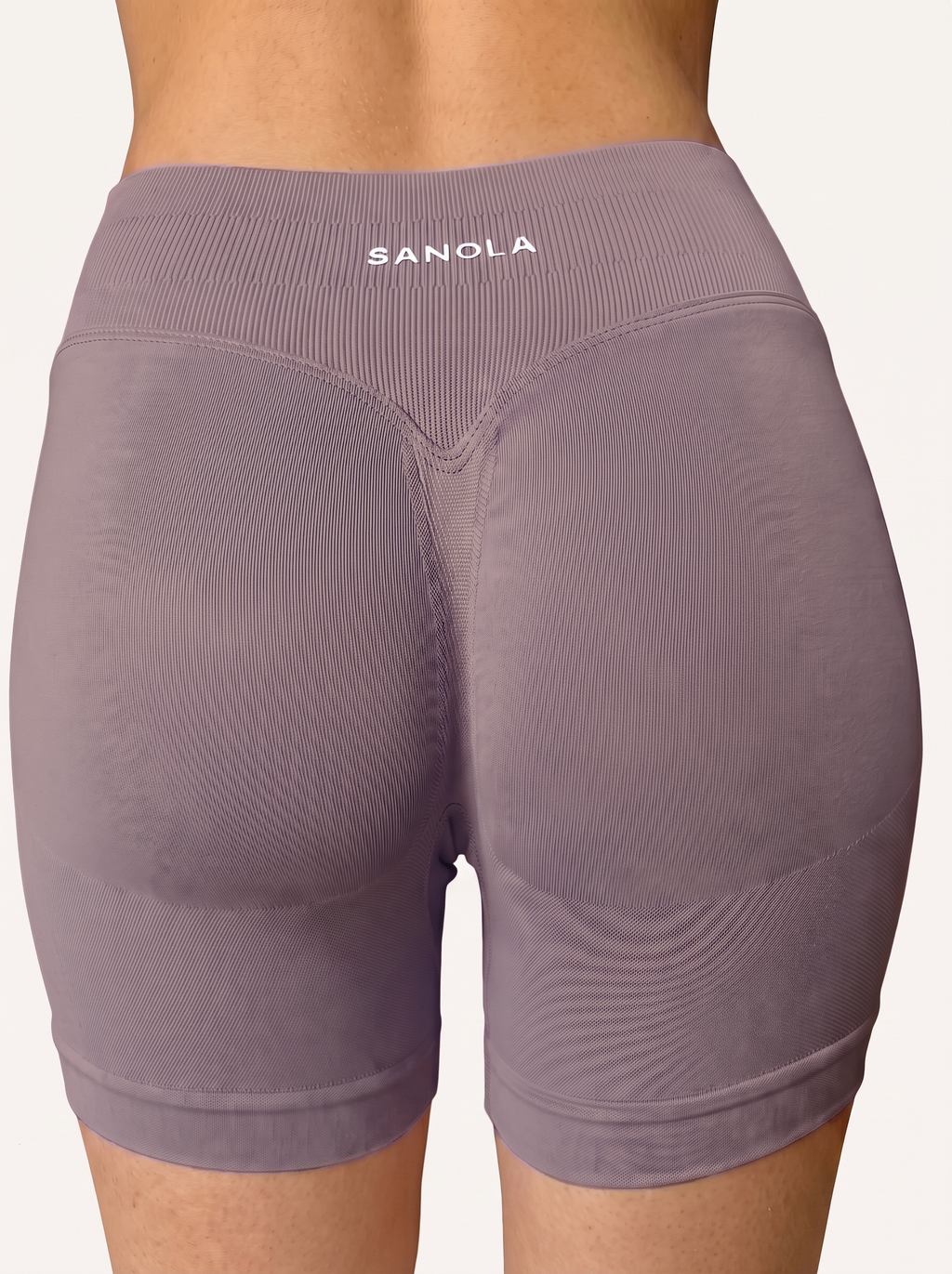 Reform Mid-Rise Shorts | Dusty Mauve