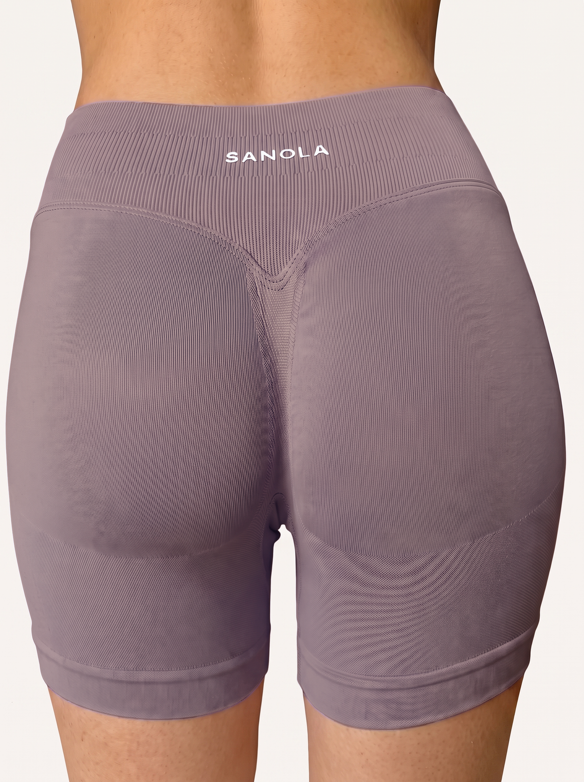 Reform Mid-Rise Shorts | Dusty Mauve